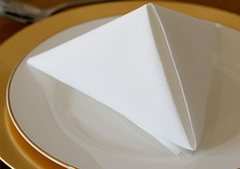 NapkinG Airlaid napkins