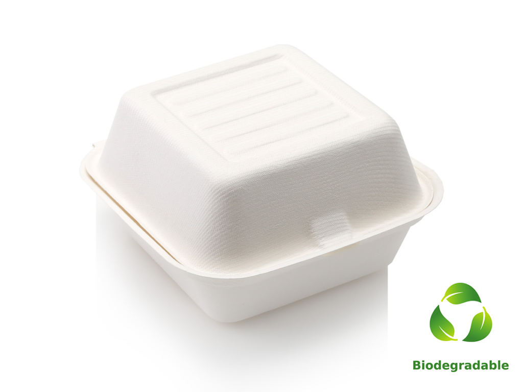 Burger Box - Sugar Cane - 165mm - Biodegradable